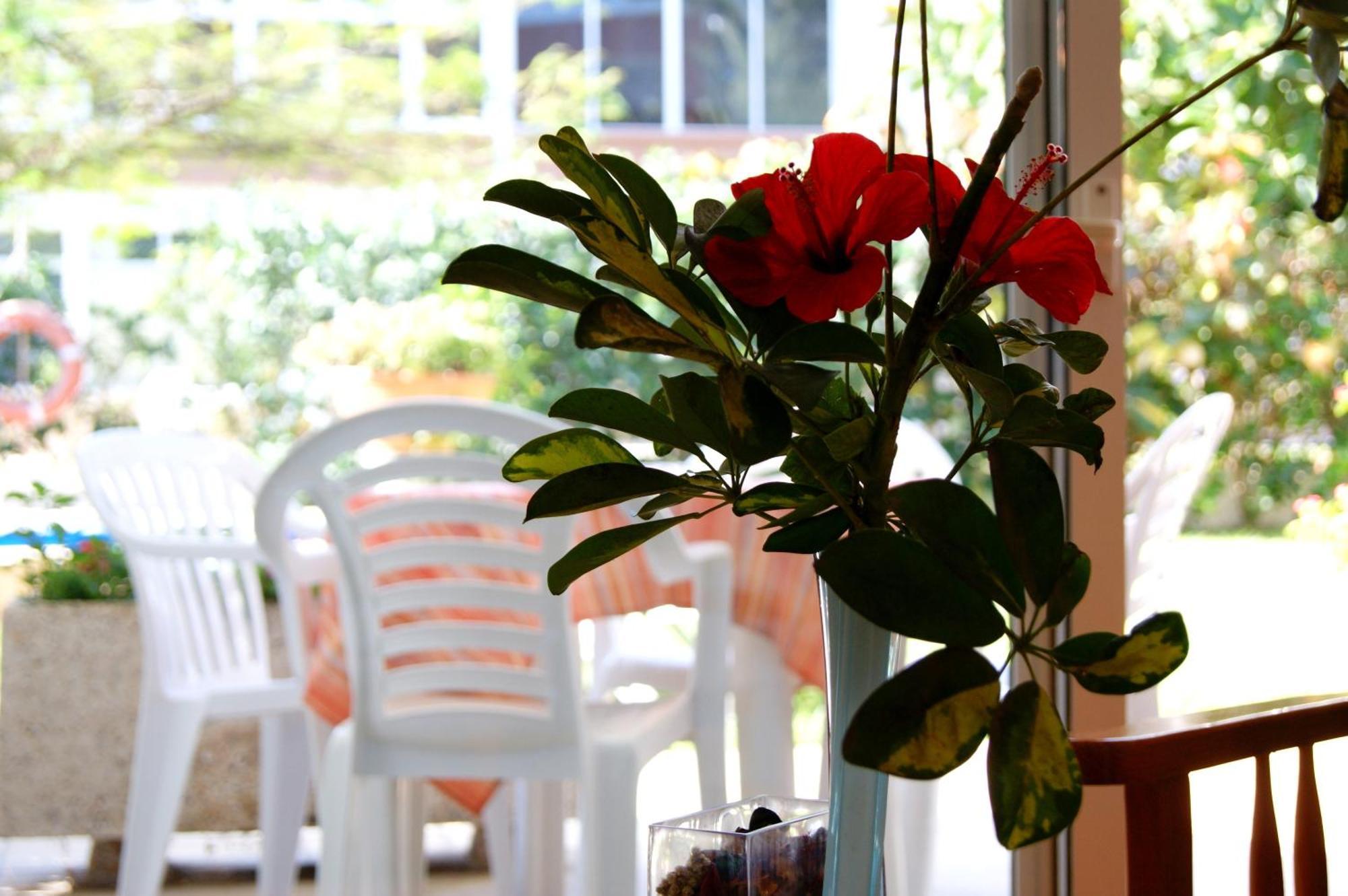 Apartamentos Ecuador Плайя-дель-Инглес Экстерьер фото